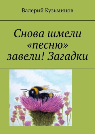 Валерий Кузьминов, Снова шмели «песню» завели! Загадки