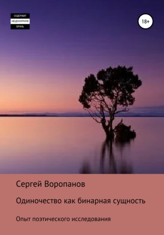 Сергей Воропанов, Одиночество как бинарная сущность. Опыт поэтического исследования