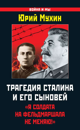 Юрий Мухин, Трагедия Сталина и его сыновей. «Я солдата на фельдмаршала не меняю!»