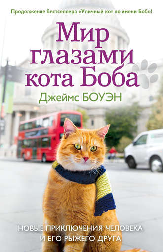 Джеймс Боуэн, Мир глазами кота Боба. Новые приключения человека и его рыжего друга