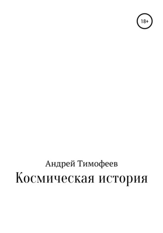 Андрей Тимофеев, Космическая история