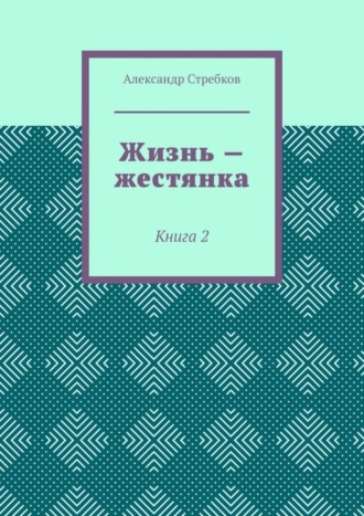 Александр Стребков, Жизнь – жестянка. Книга 2