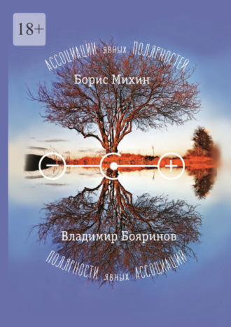 Борис Михин, Владимир Бояринов, Ассоциации явных полярностей. Полярности явных ассоциаций