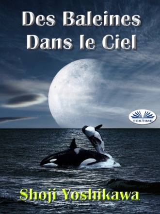 Shoji Yoshikawa, Des Baleines Dans Le Ciel