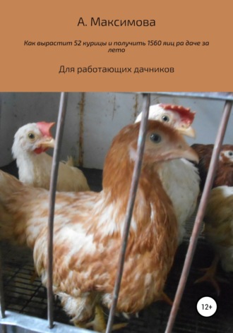 Александра Максимова, Как вырастить 52 курицы и получить 1560 яиц на даче за лето. Для работающих дачников
