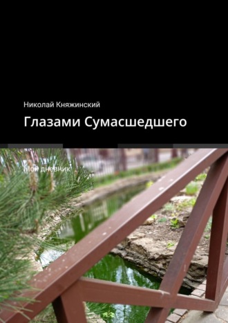 Николай Княжинский, Глазами Сумасшедшего