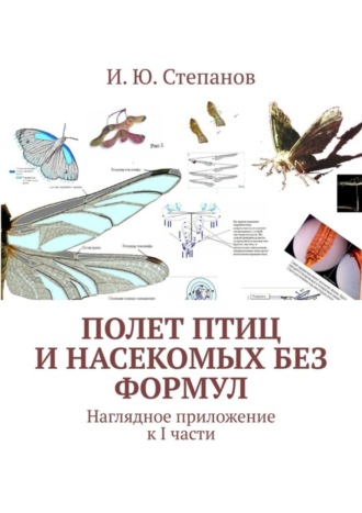 И. Степанов, Полет птиц и насекомых без формул. Наглядное приложение к I части