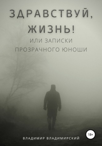 Владимир Владимирский, Здравствуй, жизнь! или Записки прозрачного юноши