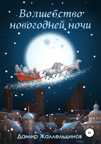 Дамир Жаллельдинов, Волшебство новогодней ночи