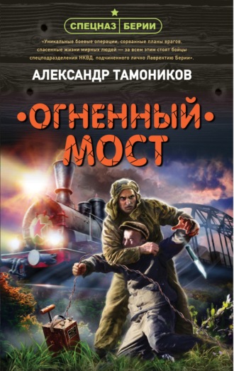Александр Тамоников, Огненный мост
