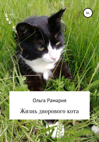 Ольга Рамария, Жизнь дворового кота