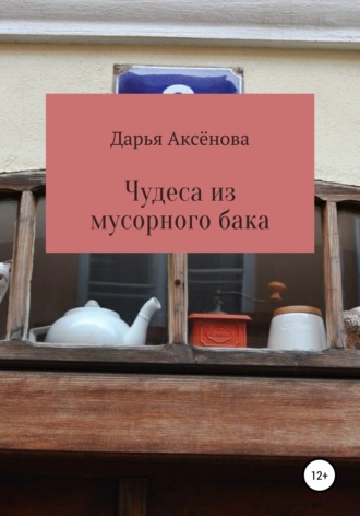Дарья Аксенова, Чудеса из мусорного бака