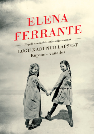 Elena Ferrante, Lugu kadunud lapsest