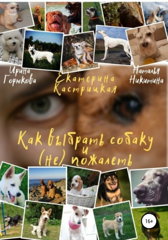 Наталья Никитина, Екатерина Кастрицкая, Как выбрать собаку и (не) пожалеть