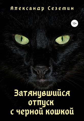 Александр Сеземин, Затянувшийся отпуск с черной кошкой