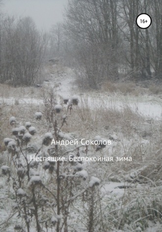 Андрей Соколов, Неспящие. Беспокойная зима