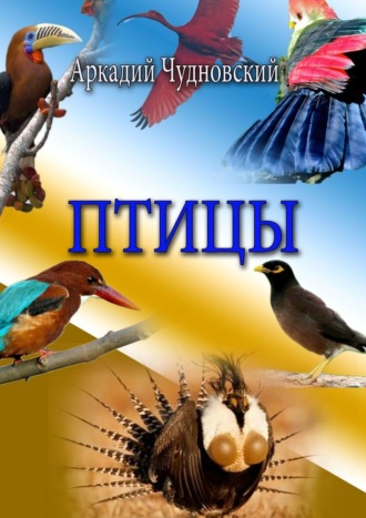 Аркадий Чудновский, Птицы