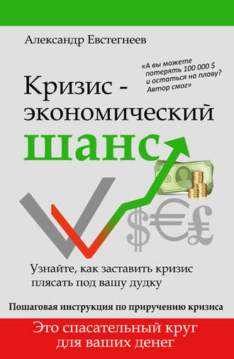 Александр Евстегнеев, Кризис: экономический шанс