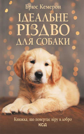 Брюс Кемерон, Ідеальне Різдво для собаки