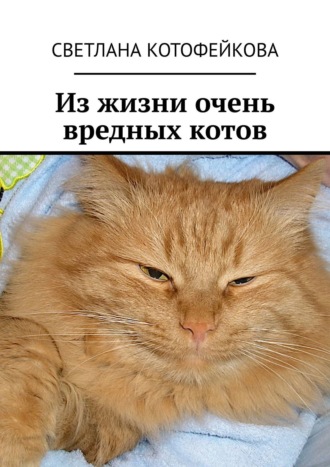 Светлана Котофейкова, Из жизни очень вредных котов