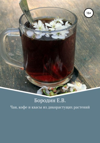 Евгений Бородин, Чаи, кофе и квасы из дикорастущих растений
