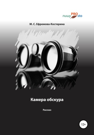 Мария Ефремова-Костерина, Камера обскура