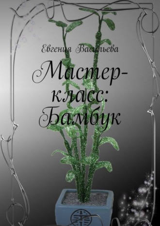 Евгения Васильева, Мастер-класс: бамбук