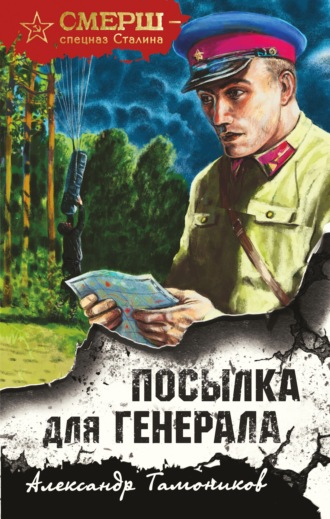 Александр Тамоников, Посылка для генерала