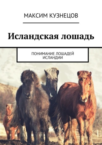 Максим Кузнецов, Исландская лошадь. Понимание лошадей Исландии
