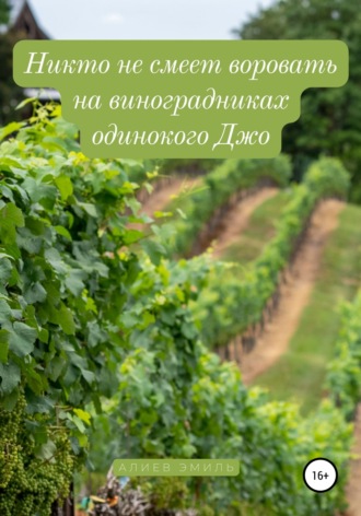 Эмиль Алиев, Никто не смеет воровать на виноградниках одинокого Джо
