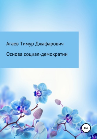 Тимур Агаев, Основа социал-демократии