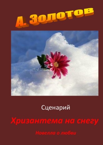 Александр Золотов, Сценарий «Хризантема на снегу». Новелла о любви