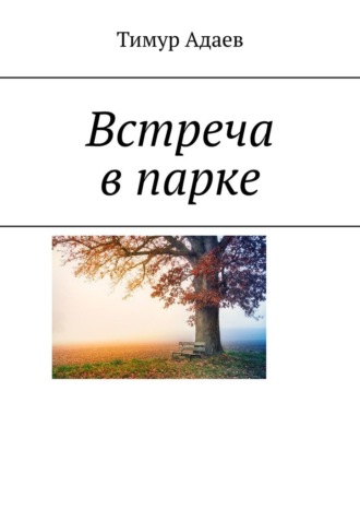 Тимур Адаев, Встреча в парке
