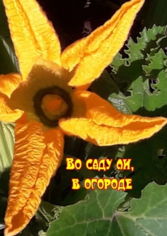 Н. Козлова, Во саду ли, в огороде