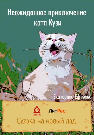 Екатерина Ефарова, Неожиданное приключение кота Кузи