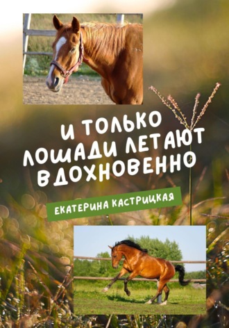 Екатерина Кастрицкая, И только лошади летают вдохновенно