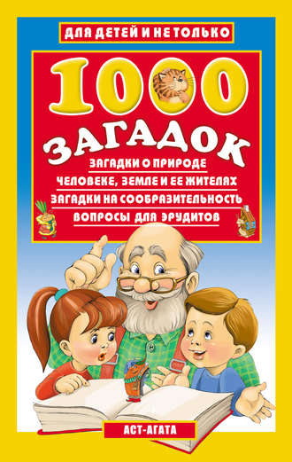 Владимир Лысаков, 1000 загадок