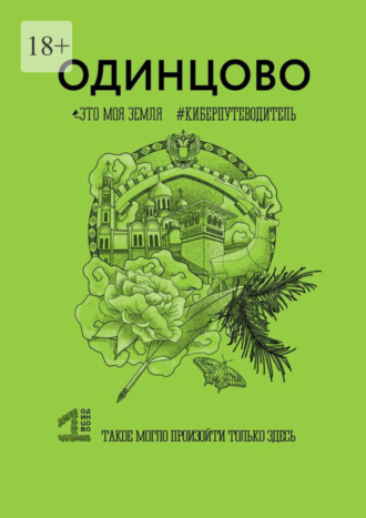 Игорь Полтавцев, Ольга Шишкина, Одинцово. Это моя земля. Киберпутеводитель