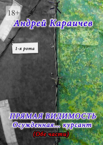 Андрей Караичев, Прямая видимость. Осужденная… курсант