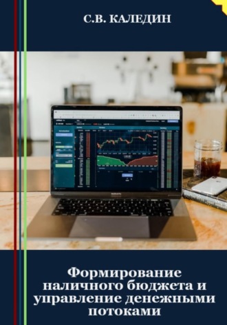 Сергей Каледин, Формирование наличного бюджета и управление денежными потоками