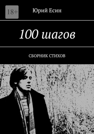 Юрий Есин, 100 шагов. Сборник стихов