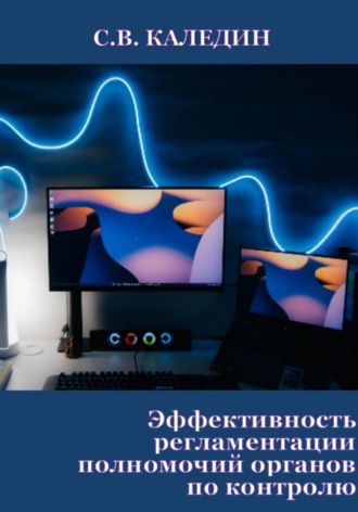 Сергей Каледин, Эффективность регламентации полномочий органов по контролю