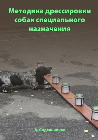 Андрей Сидельников, Методика дрессировки собак специального назначения