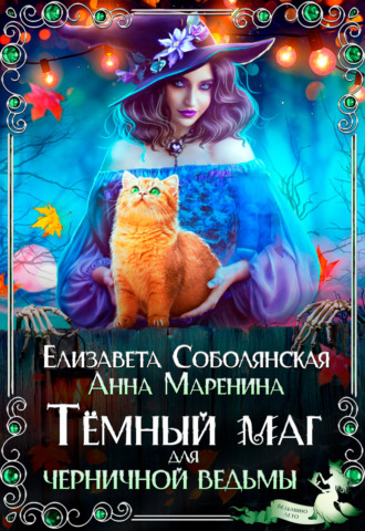 Елизавета Соболянская, Анна Маренина, Темный маг для Черничной ведьмы