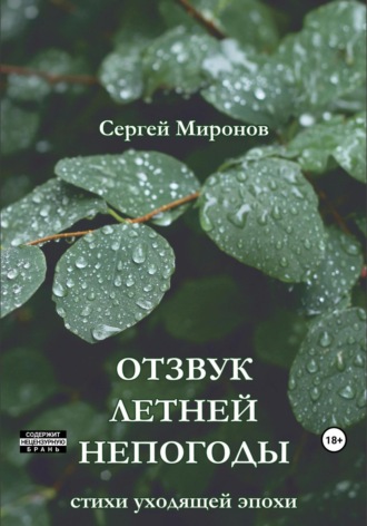 Сергей Миронов, Отзвук летней непогоды