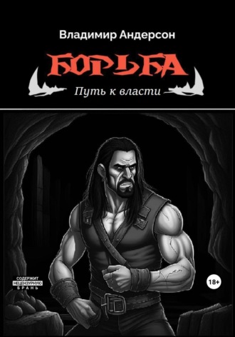 Владимир Андерсон, Борьба: «Путь к власти»