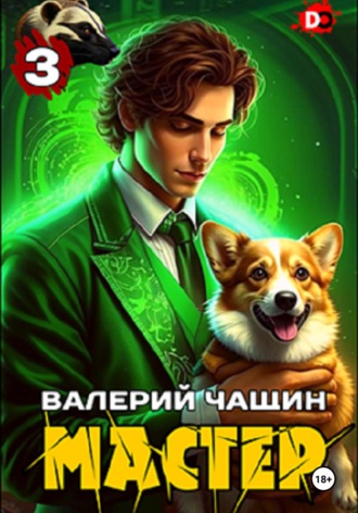 Мастер 3 Валерий Чащин, Мастер 3