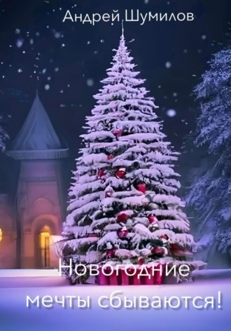Андрей Шумилов, Новогодние мечты сбываются!