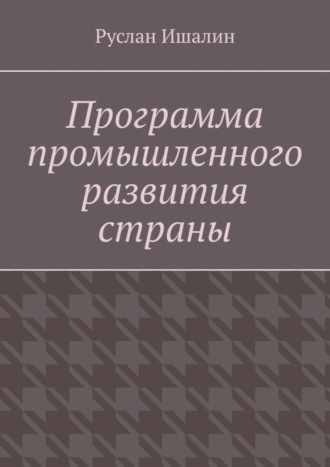 Руслан Ишалин, Программа промышленного развития страны