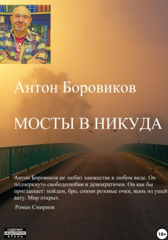 Антон Боровиков, Мосты в никуда